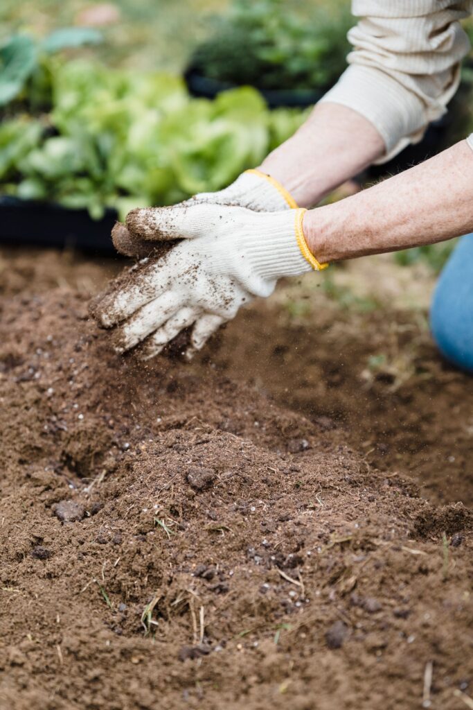 Gardener preparing soil by hand for planting